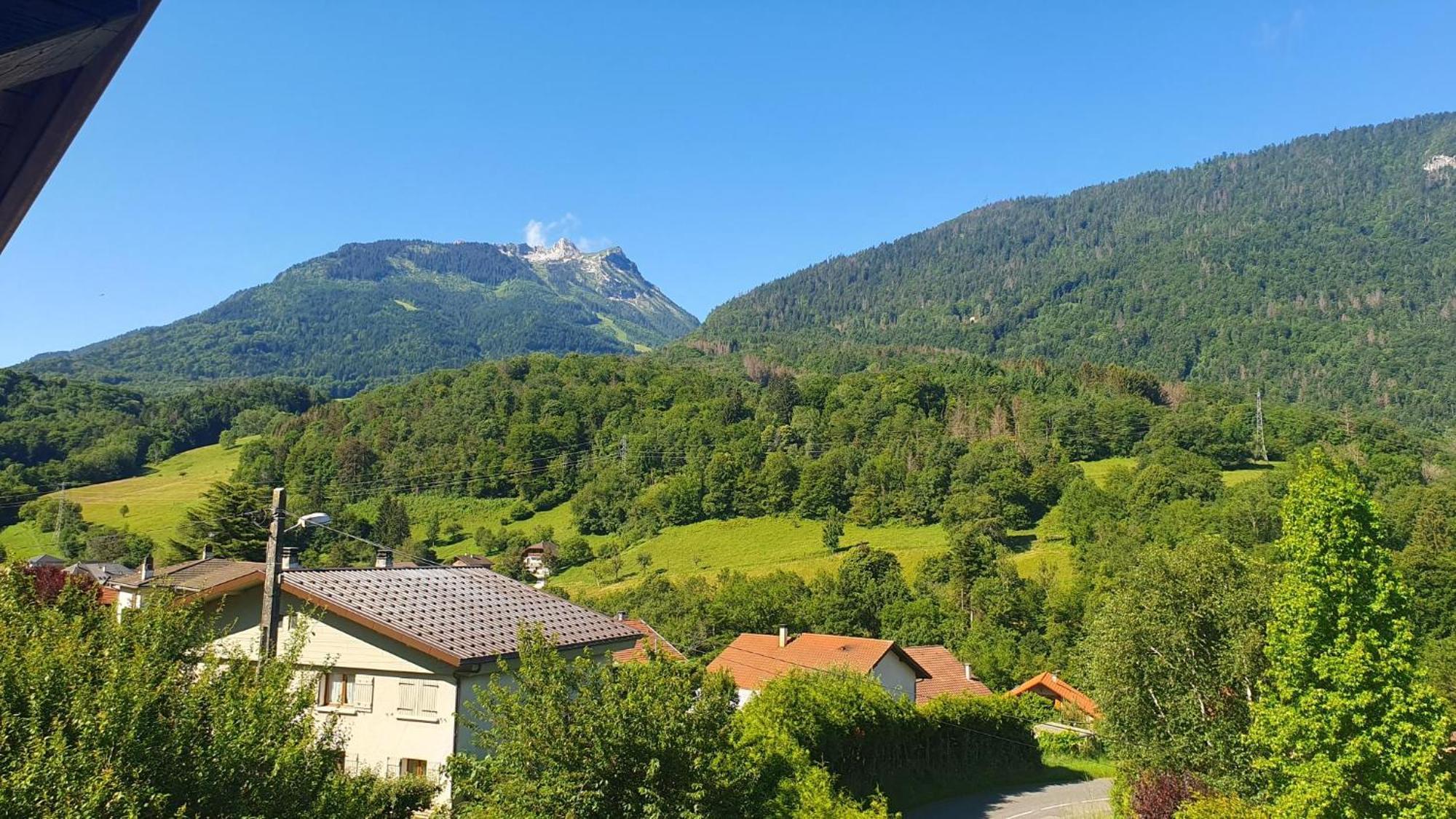 Agreable T3 Entre Lac Et Montagne Seythenex Exterior photo